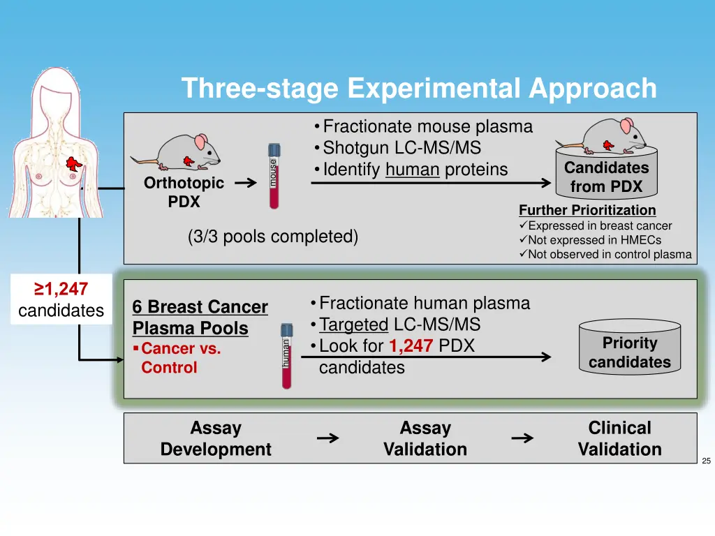 three stage experimental approach