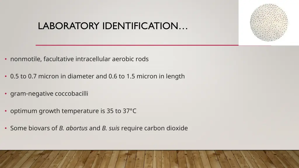 laboratory identification