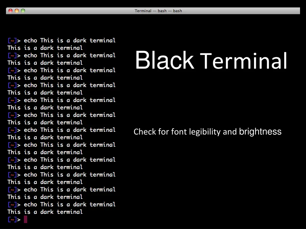 black terminal