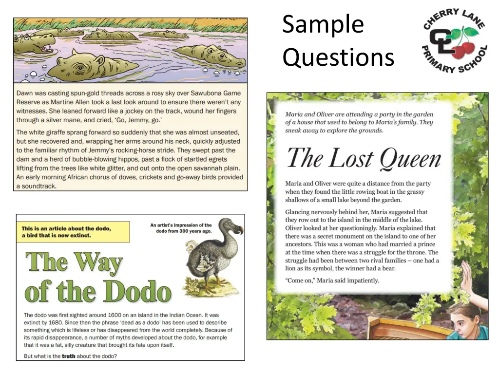 sample questions