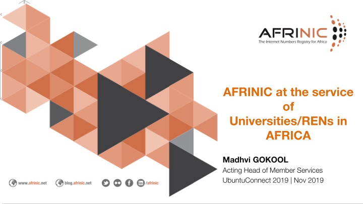 afrinic at the service of universities rens