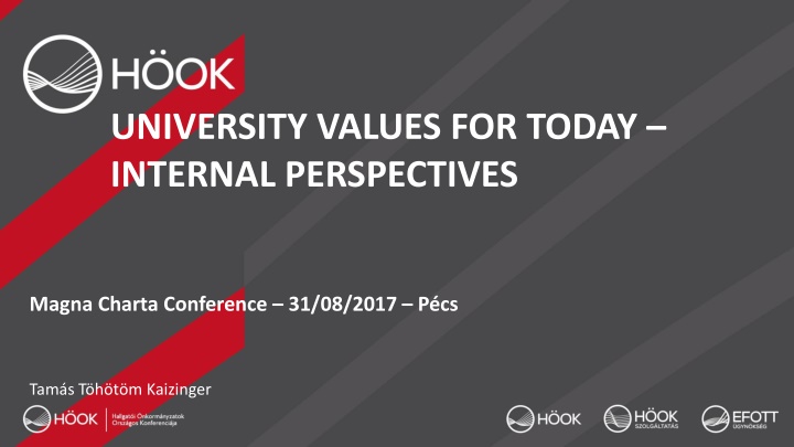 university values for today internal perspectives