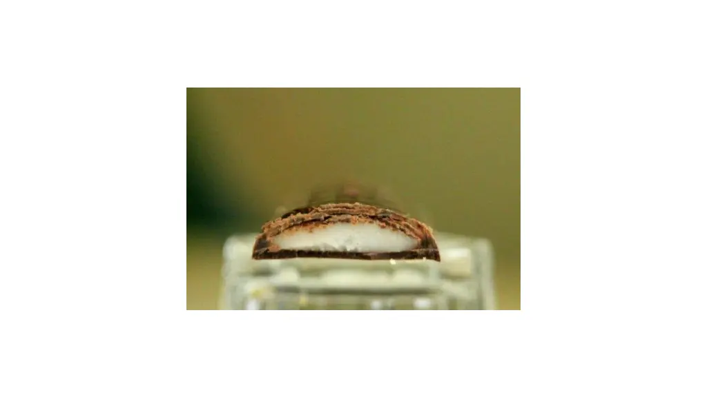 slide16