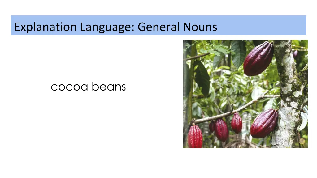 explanation language general nouns