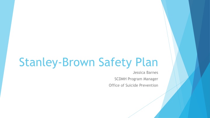 stanley brown safety plan