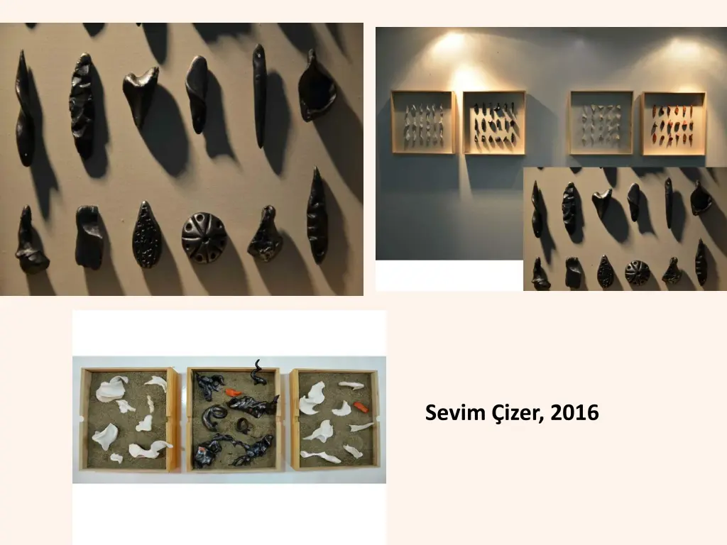 sevim izer 2016