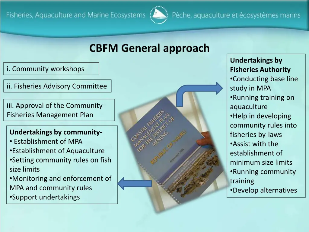 cbfm general approach