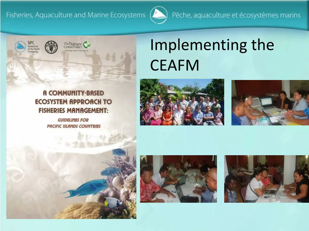 implementing the ceafm