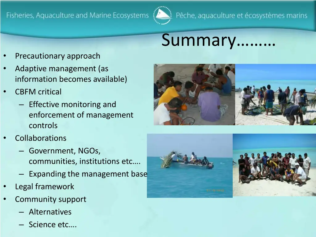 summary