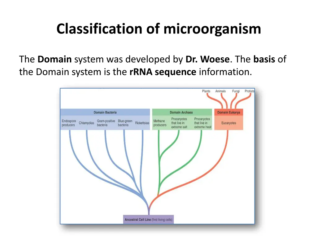 classification of microorganism