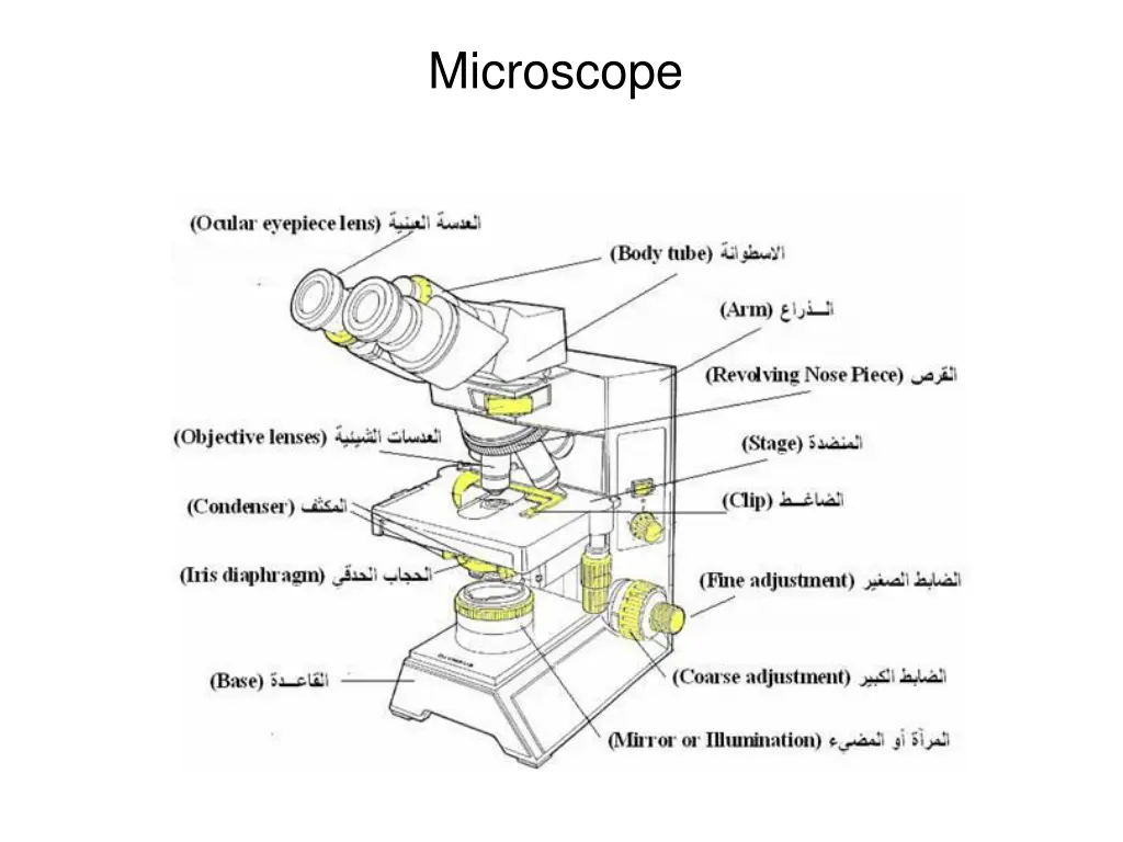 microscope