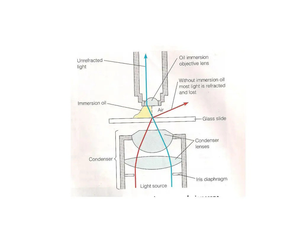 slide16