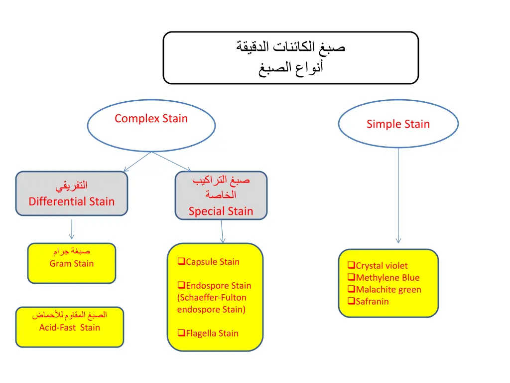 slide17