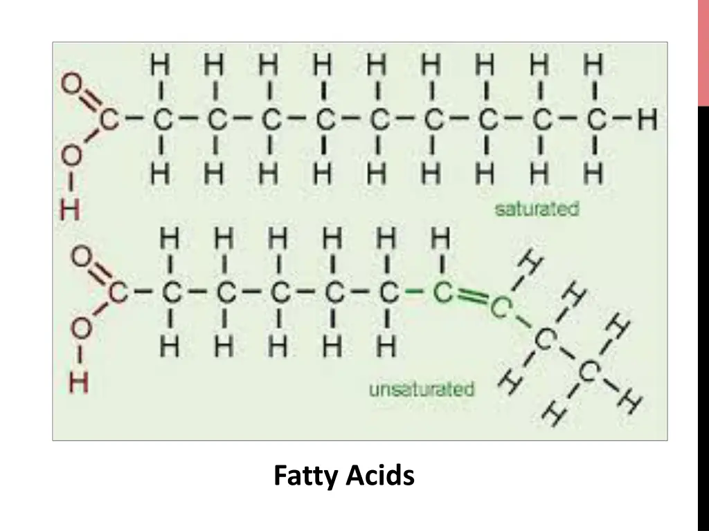 fatty acids