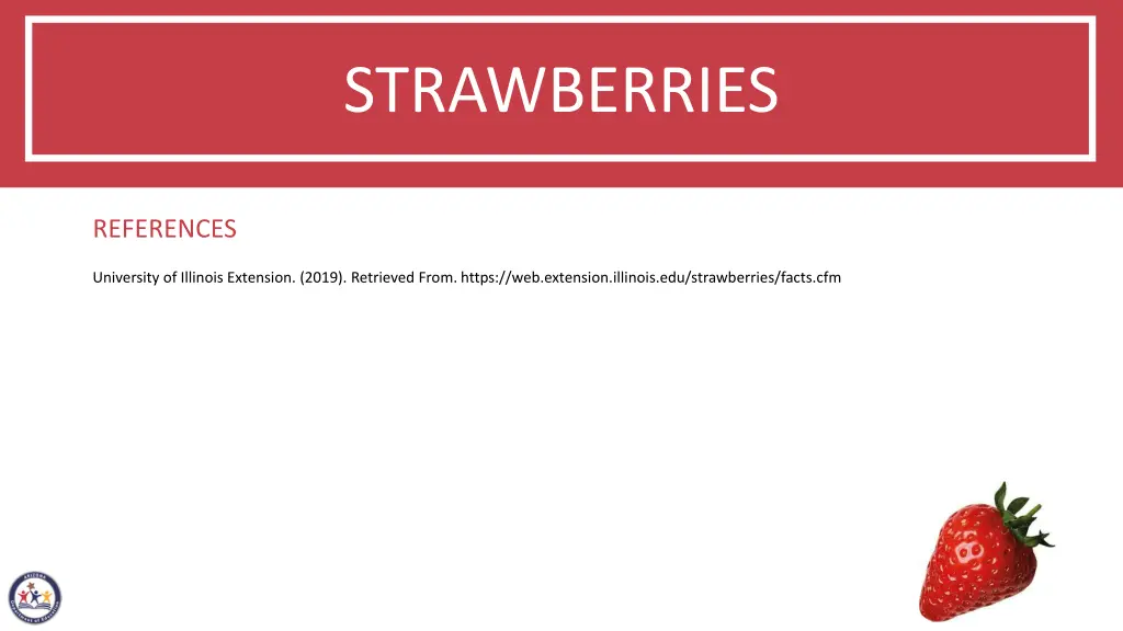 strawberries 4