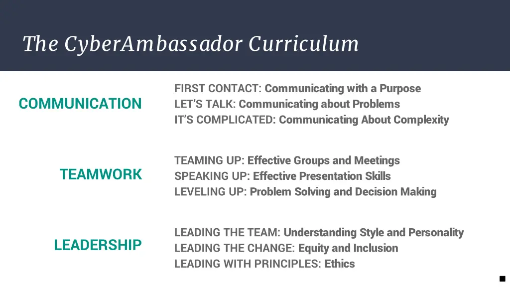 the cyberambassador curriculum