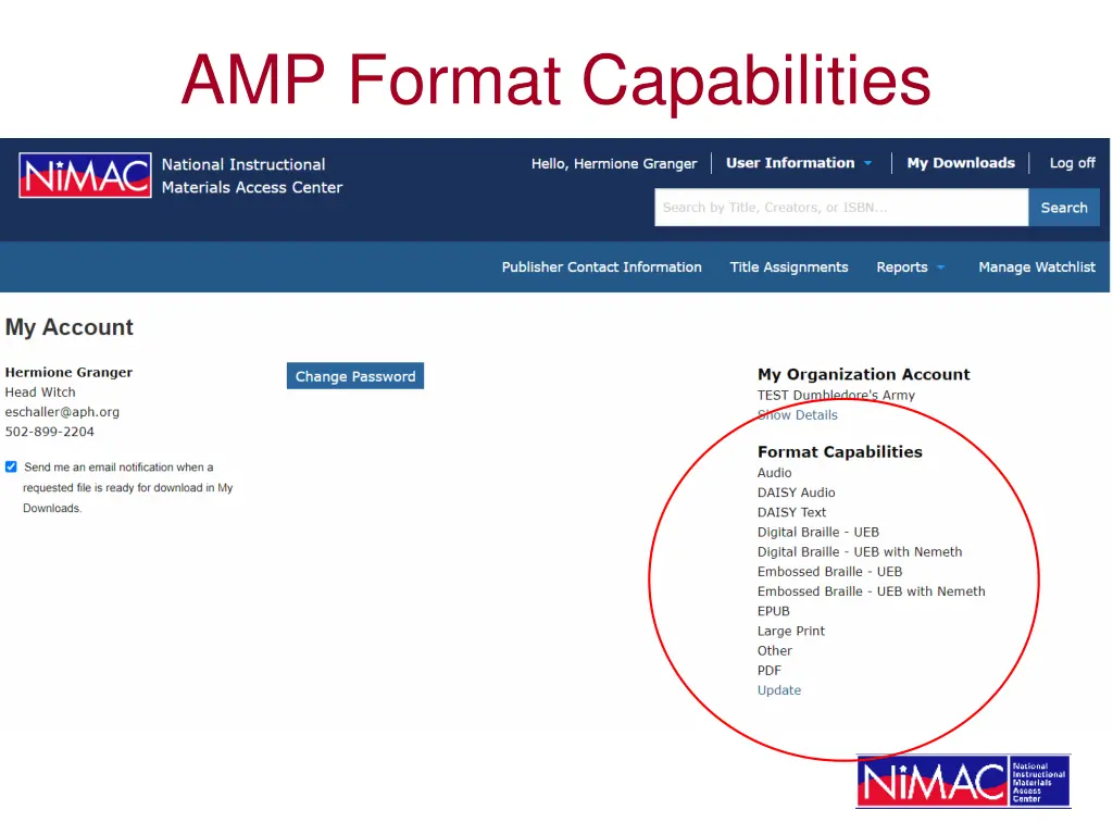 amp format capabilities