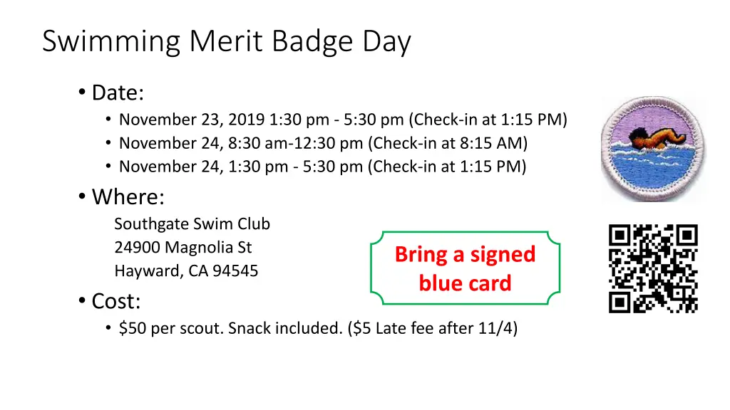 swimming merit badge day