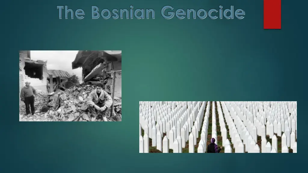 the bosnian genocide