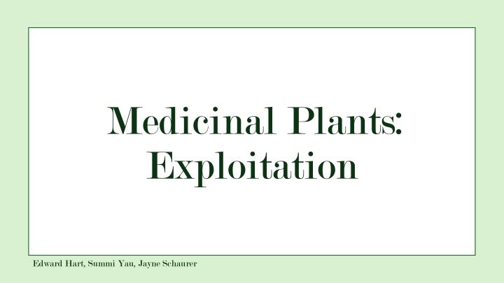 medicinal plants exploitation