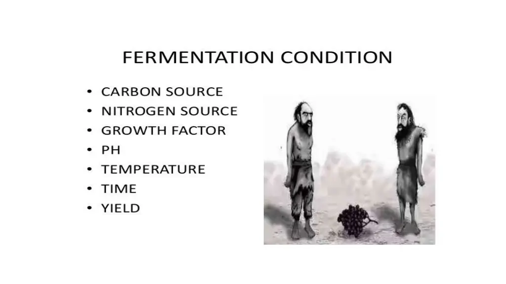 slide10