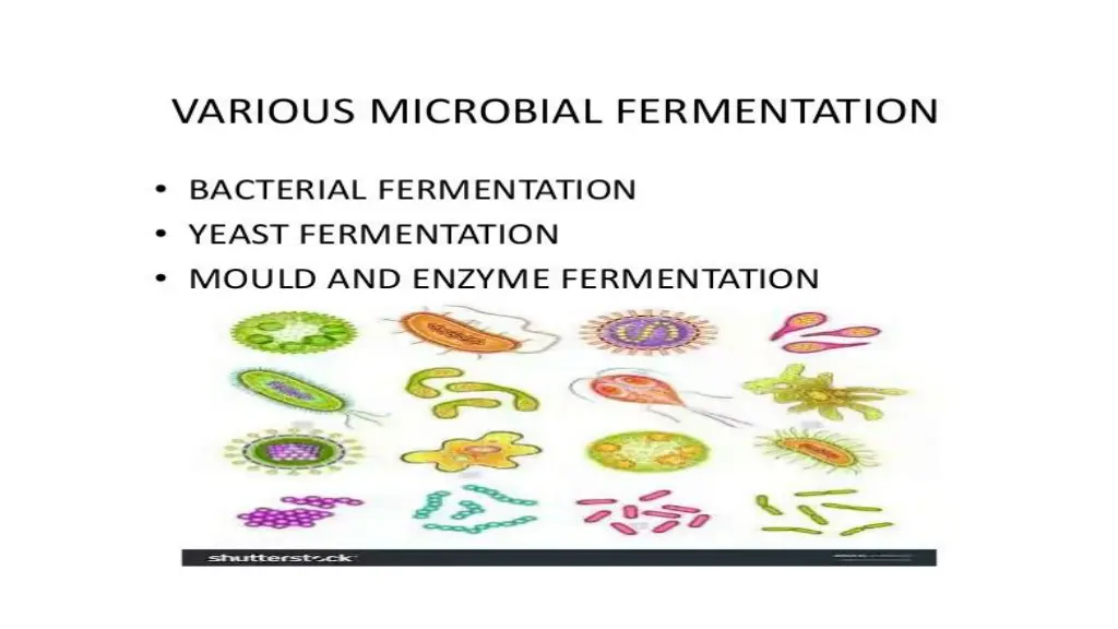 slide11