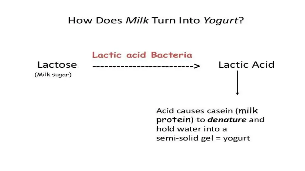 slide13