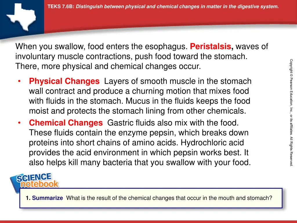 teks 7 6b distinguish between physical 2