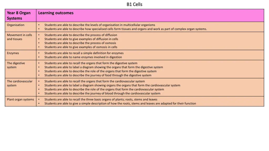 b1 cells b1 cells 1