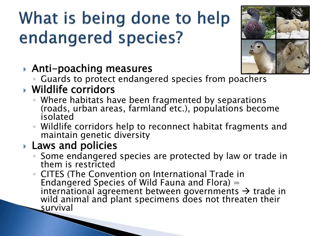 anti guards to protect endangered species from