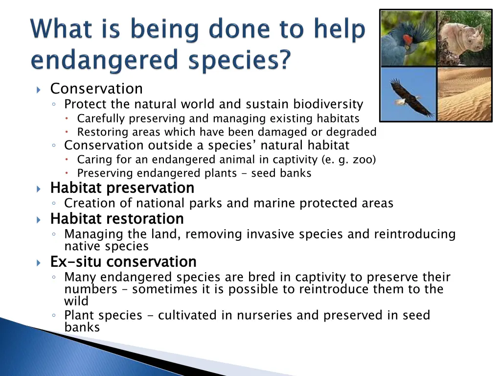 conservation protect the natural world