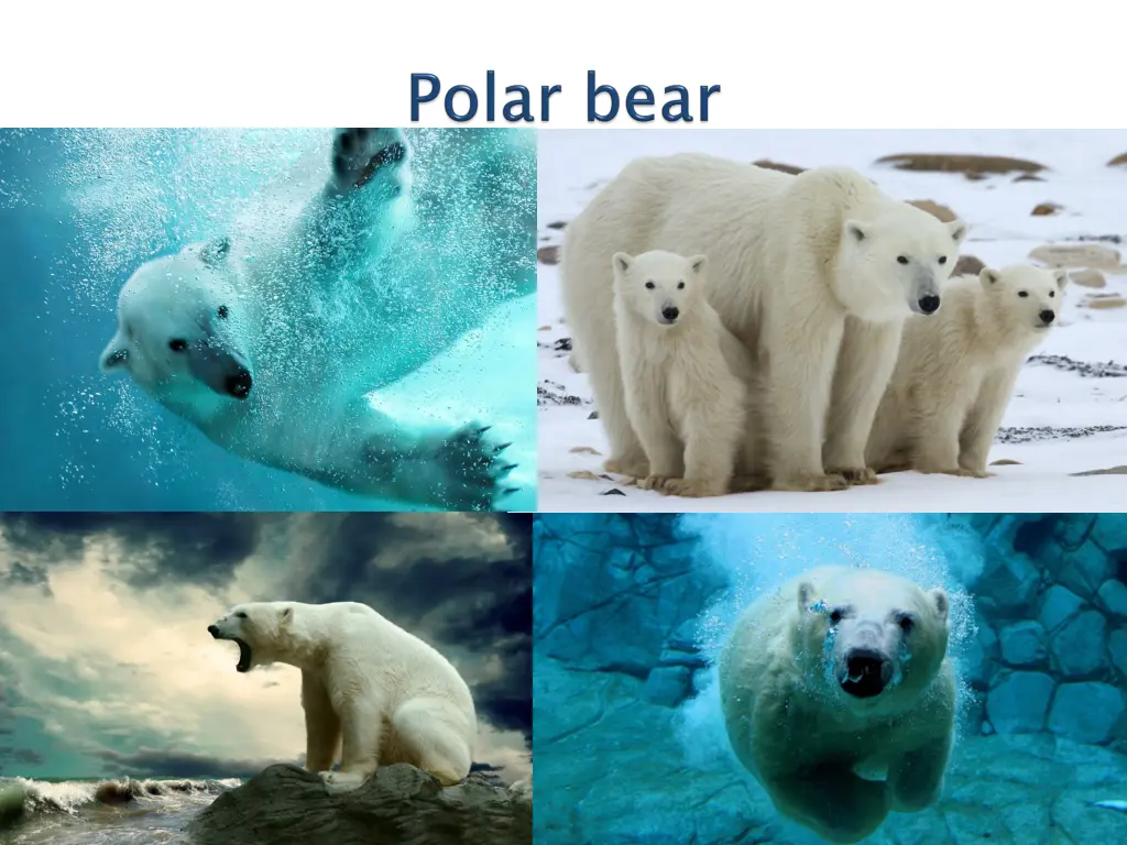 slide14