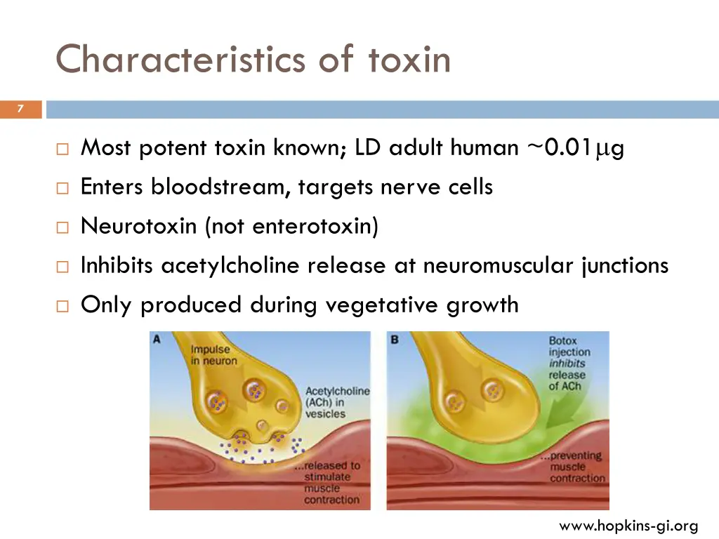 characteristics of toxin