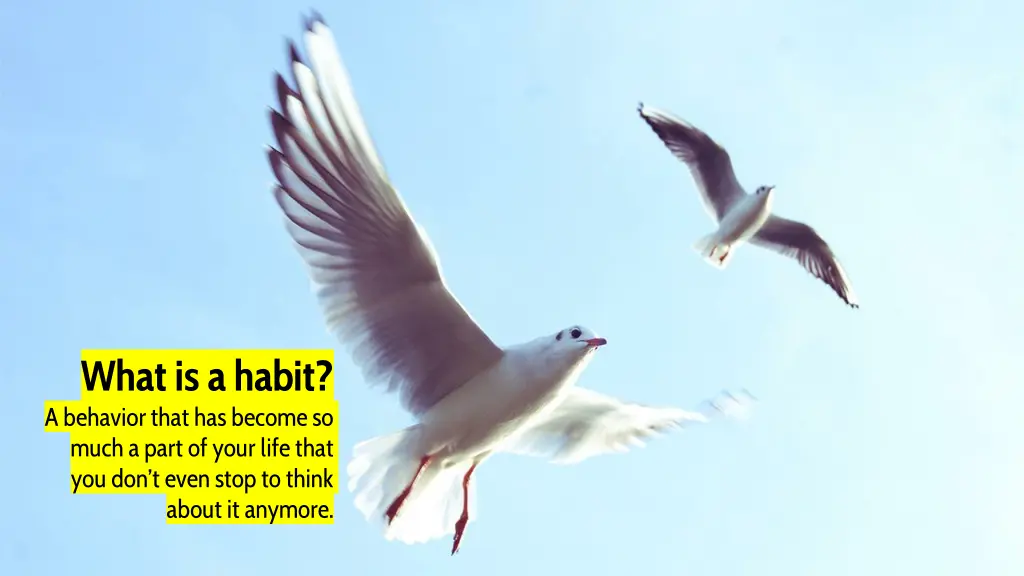 what is a habit a behavior that has become