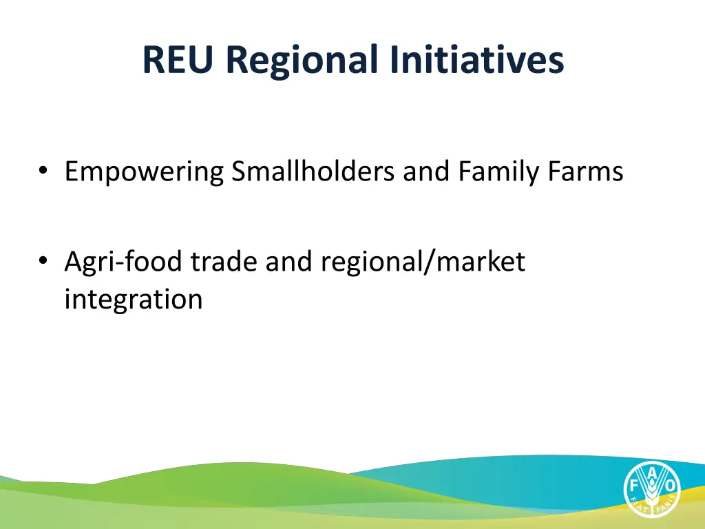 reu regional initiatives
