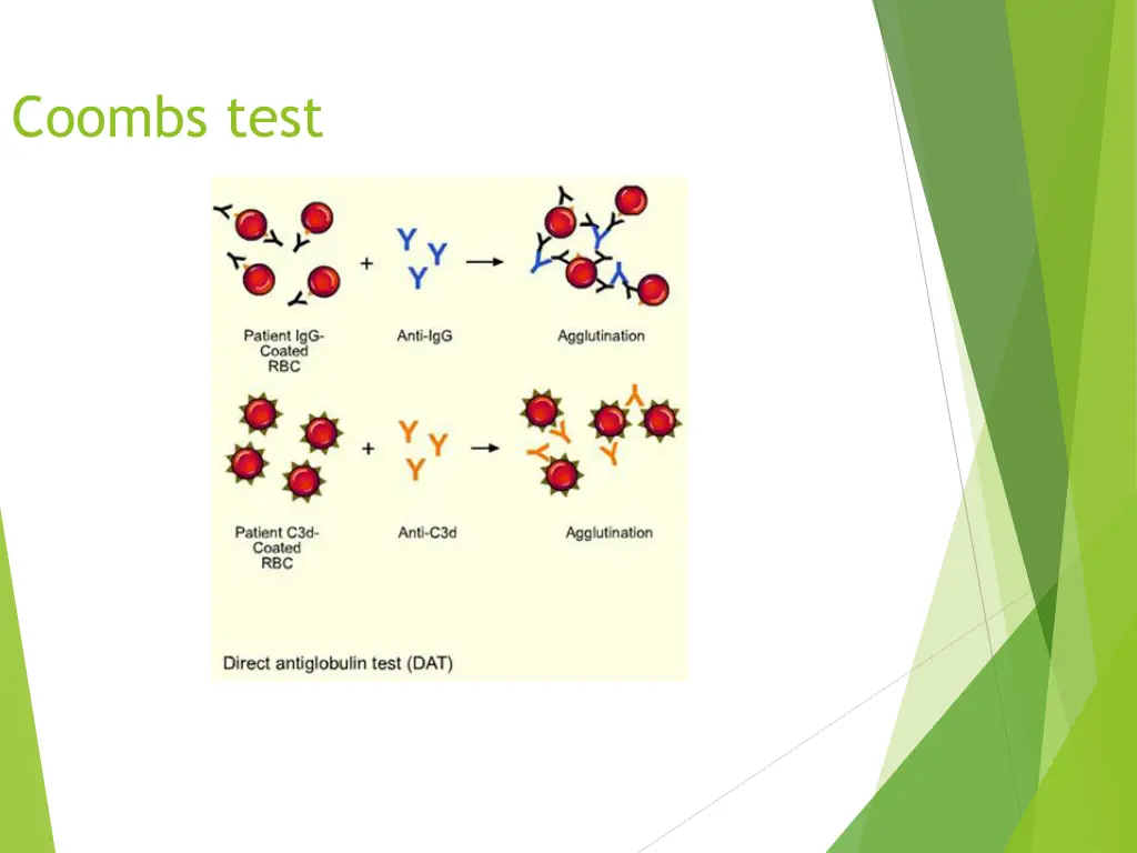 coombs test