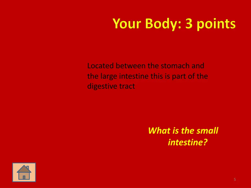 located between the stomach and the large