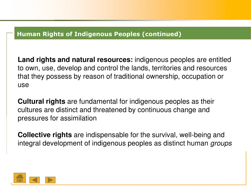 human rights of indigenous peoples continued