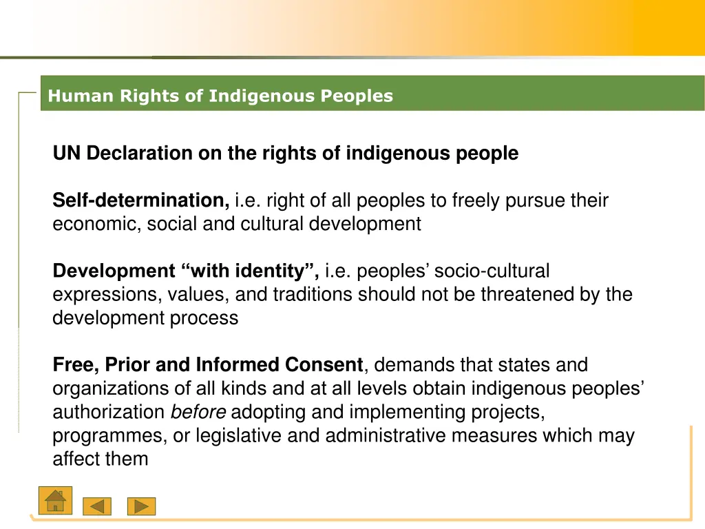 human rights of indigenous peoples