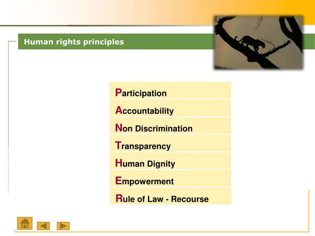 human rights principles