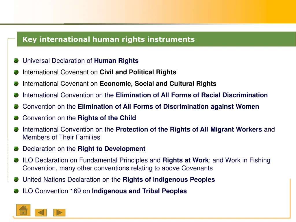 key international human rights instruments