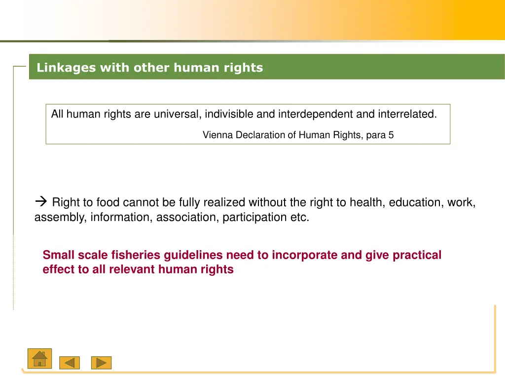 linkages with other human rights