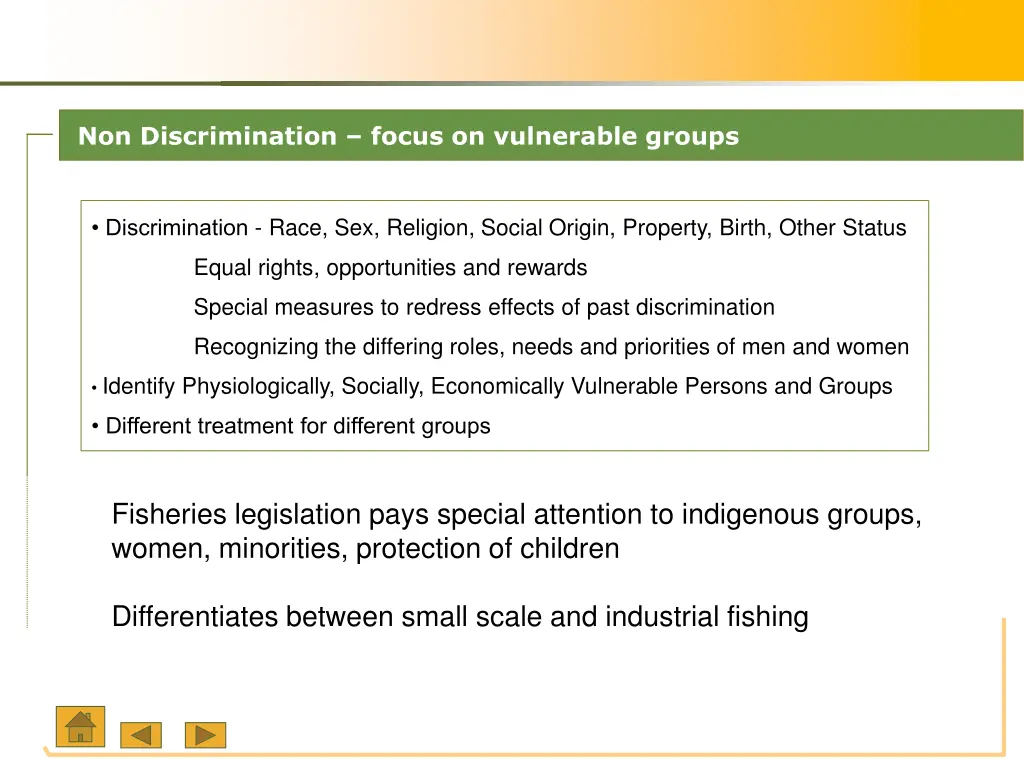 non discrimination focus on vulnerable groups