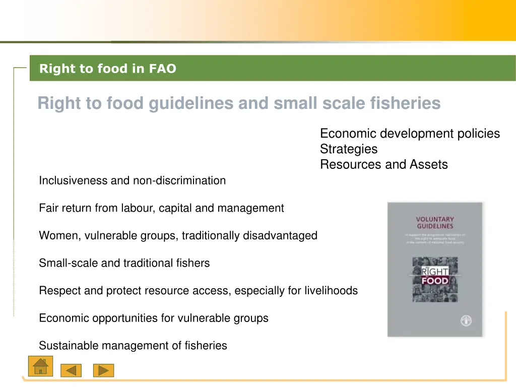 right to food in fao 1