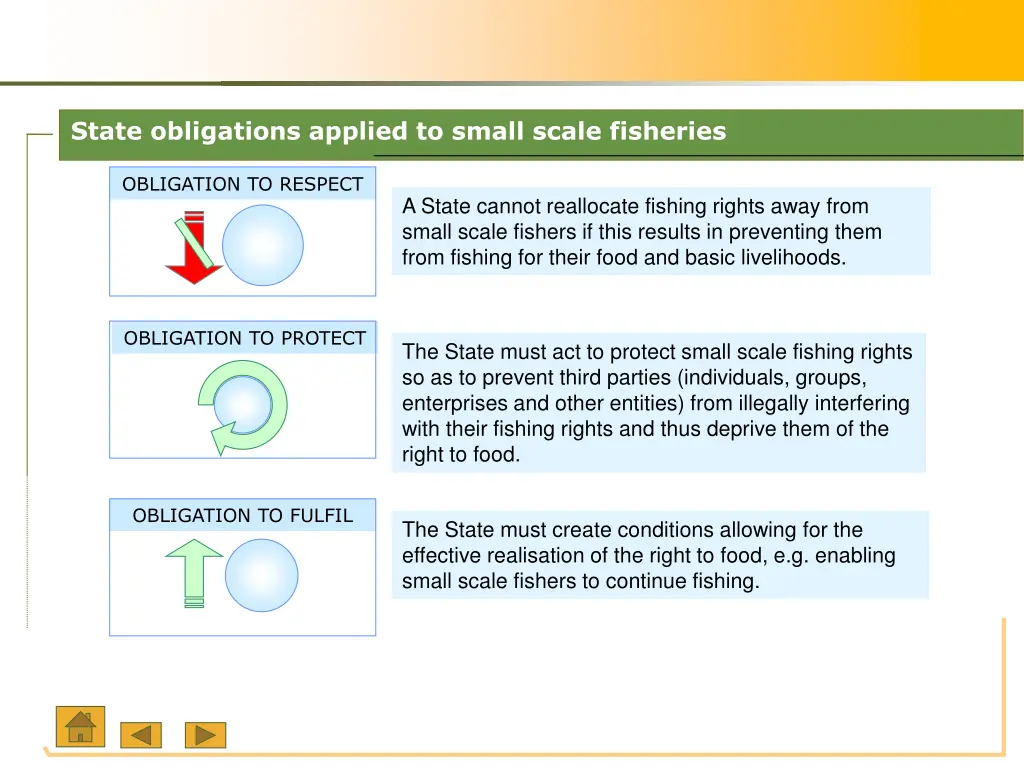 state obligations applied to small scale fisheries