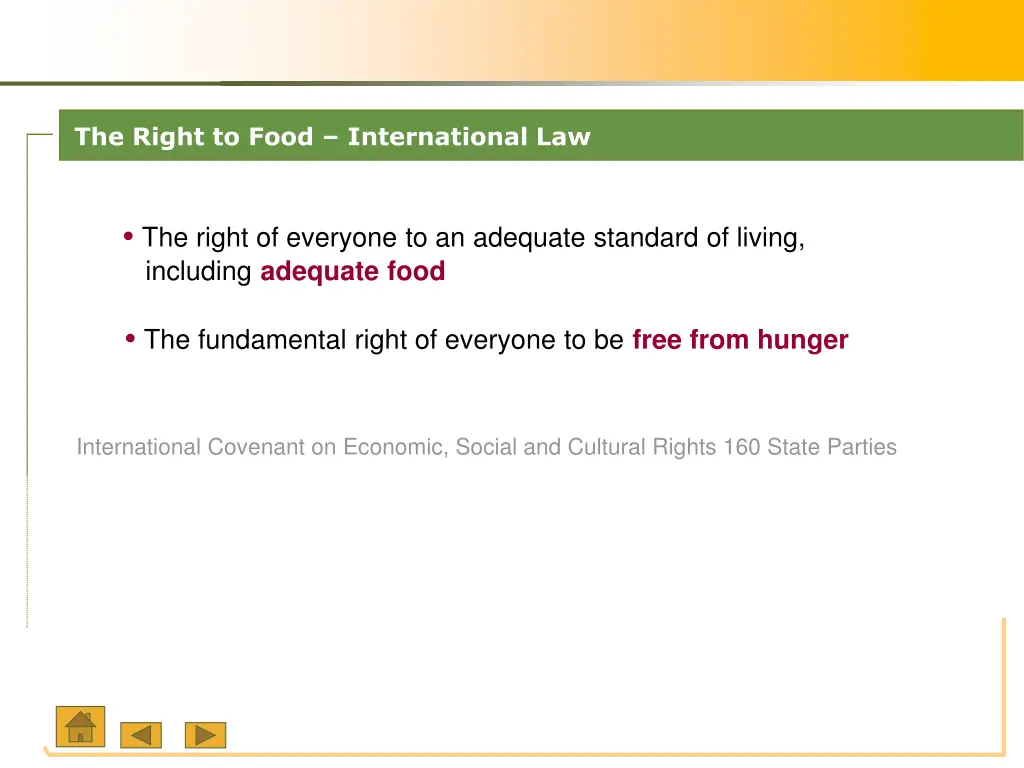 the right to food international law