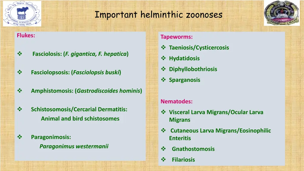important helminthic zoonoses