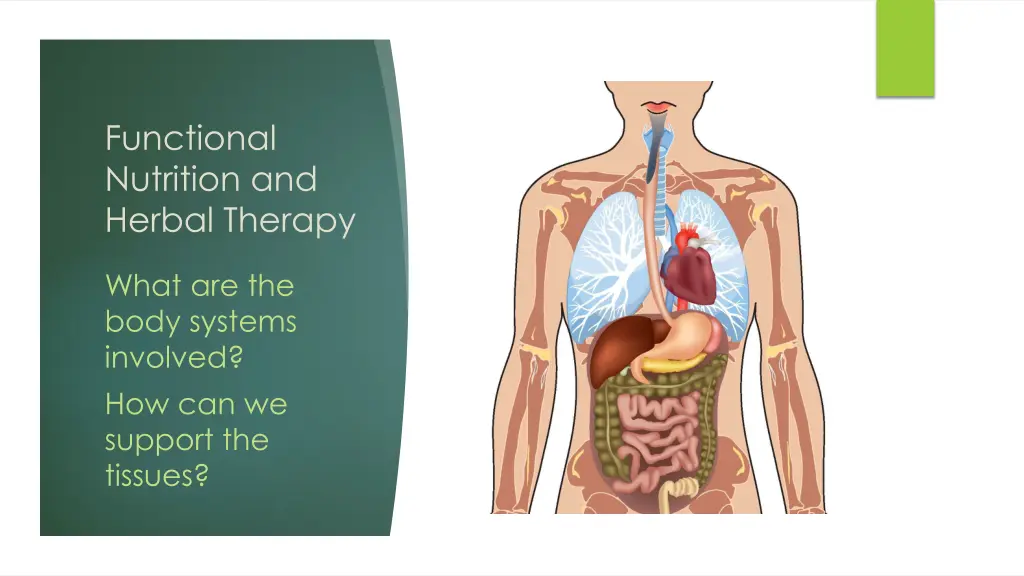 functional nutrition and herbal therapy