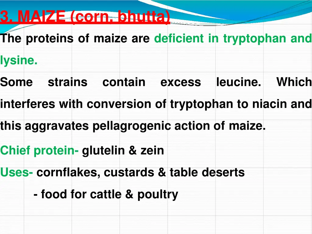3 maize corn bhutta the proteins of maize
