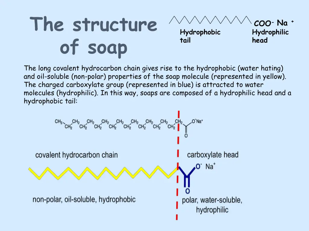 the structure of soap